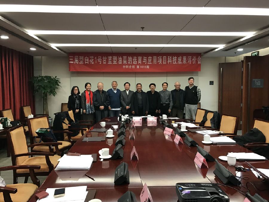 三用型白花1号甘蓝型油菜的选育与应用项目通过科技成果评价.jpg